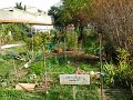 20171004- jardin ReseauSante